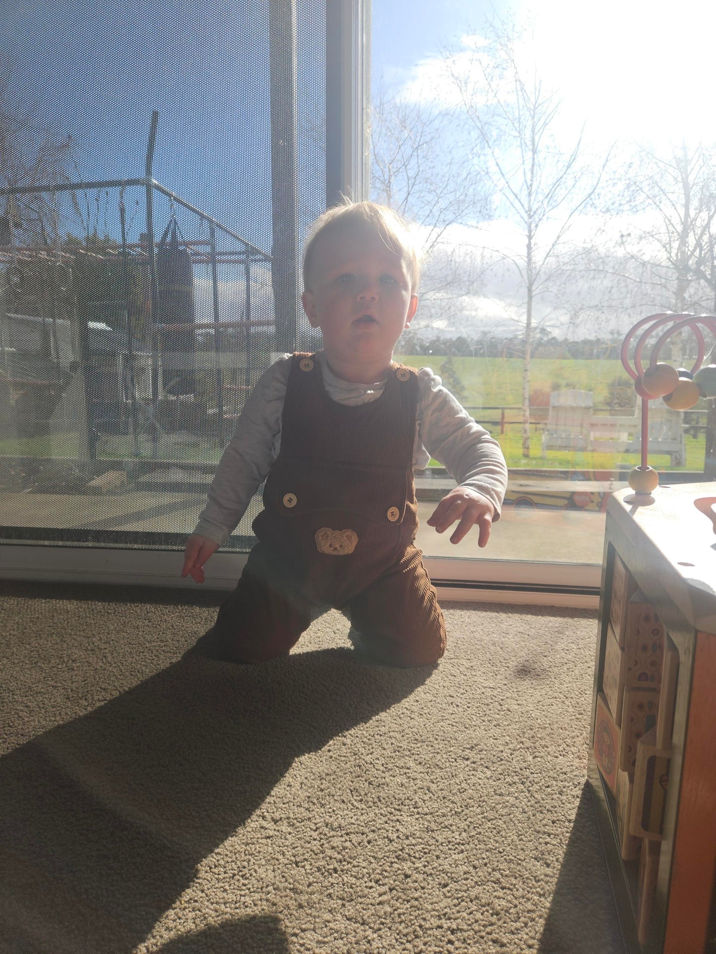 Going on Bear Hunt Overalls