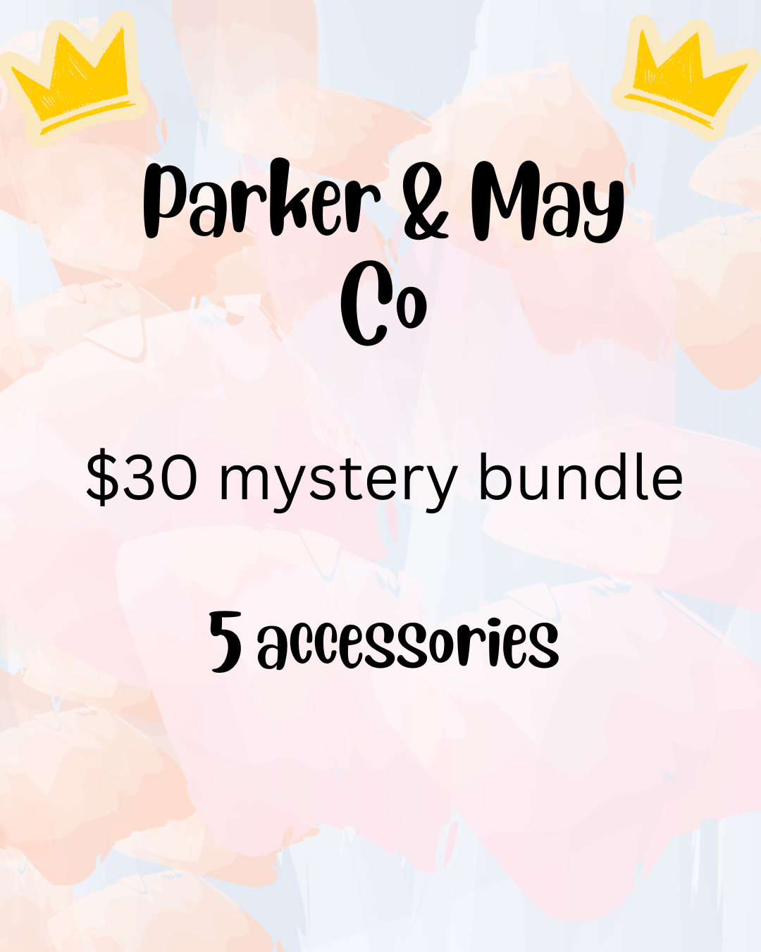 $30 Mystery Bundle- 5 accessories