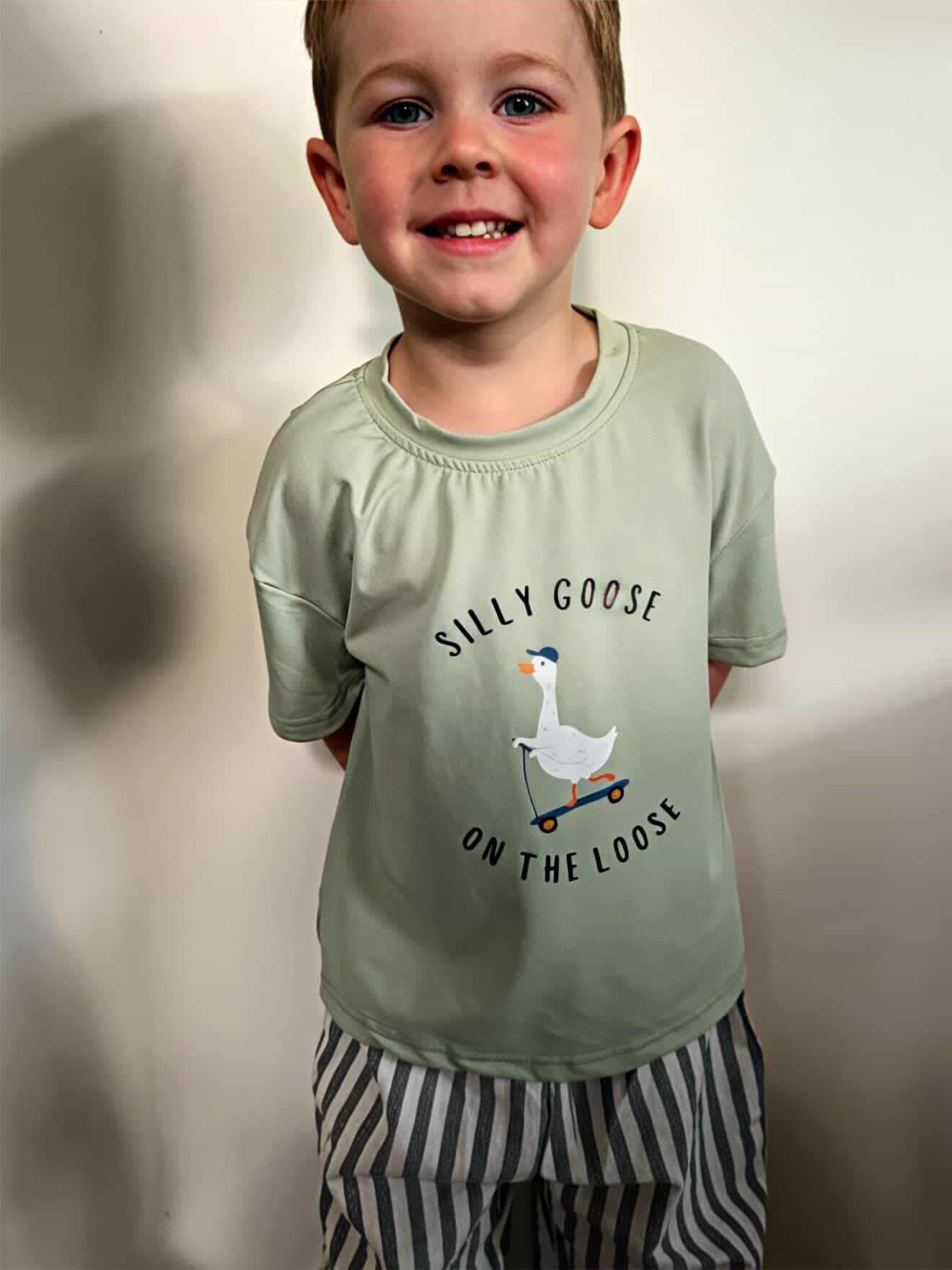 Silly Goose on the Loose Tee- Sage