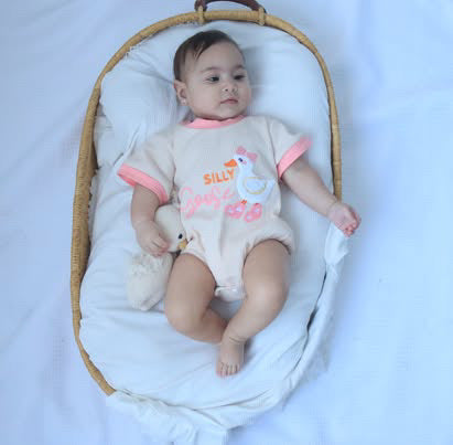 Silly Goose Pink Bodysuit